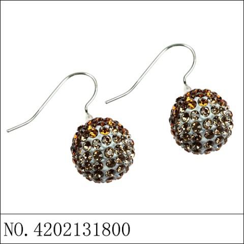 Earrings Brown