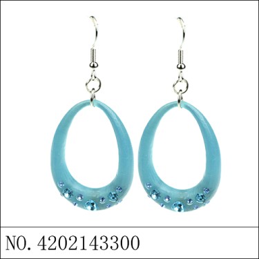 Earrings Blue