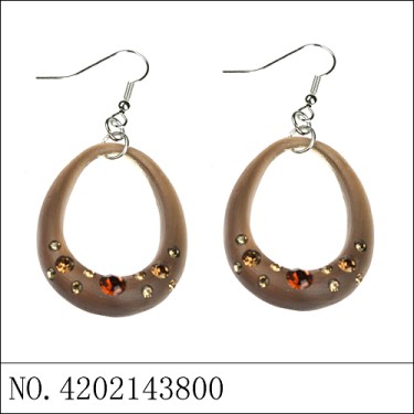 Earrings Brown