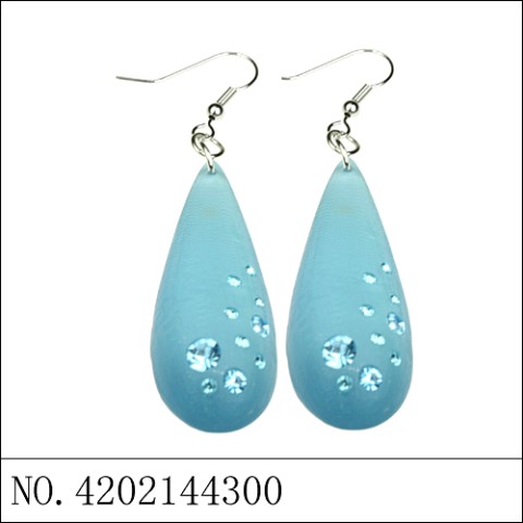 Earrings Blue