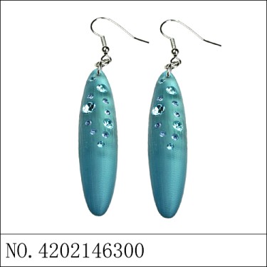 Earrings Blue