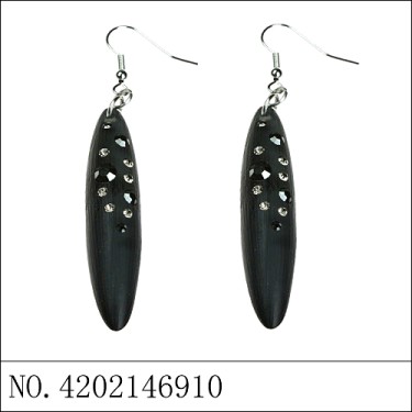 Earrings Black