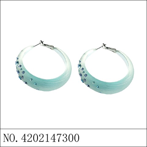 Earrings Blue