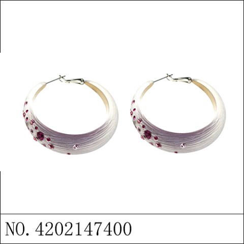 Earrings Purple