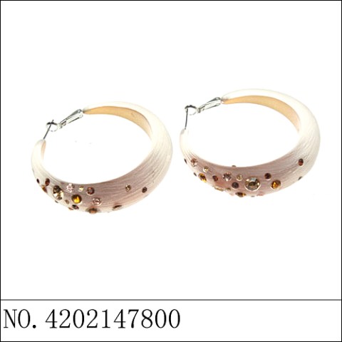 Earrings Brown