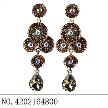 Earrings Brown