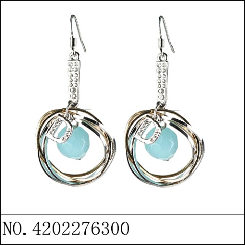 Earrings Blue