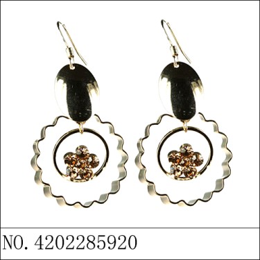 Earrings Gold