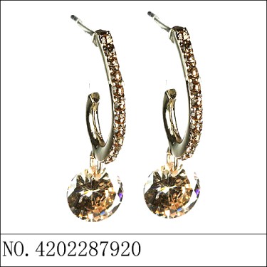 Earrings Gold