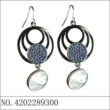 Earrings Blue