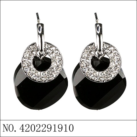 Earrings Black