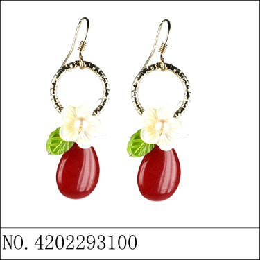 Earrings Red