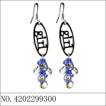 Earrings Blue