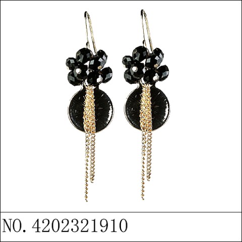 Earrings Black