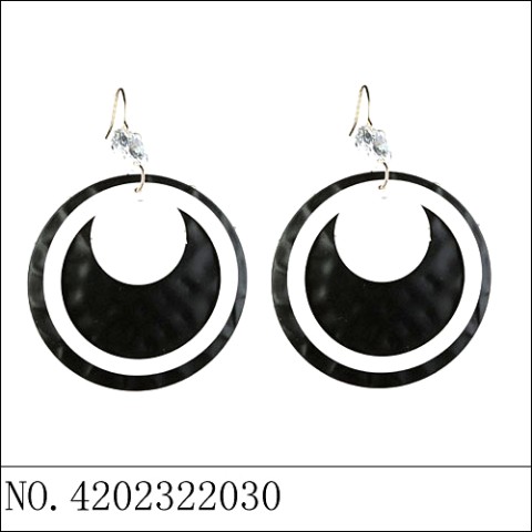 Earrings Stripe