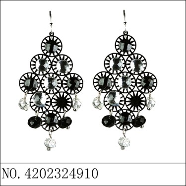 Earrings Black