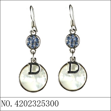 Earrings Blue