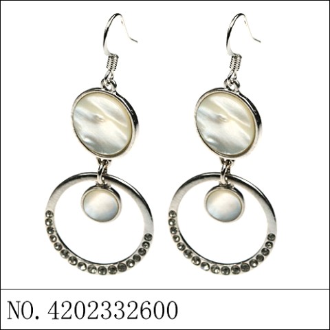 Earrings Gray