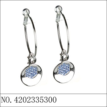 Earrings Blue