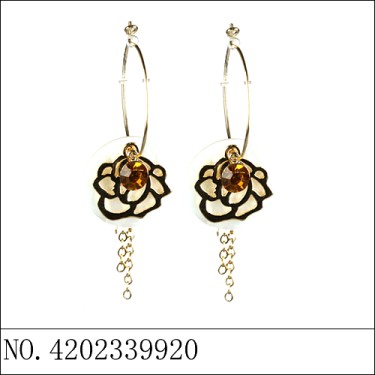 Earrings Gold