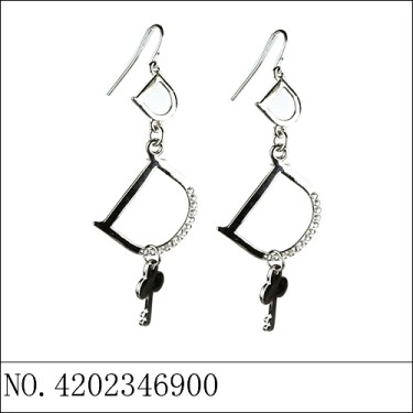 Earrings White