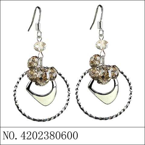 Earrings Gray