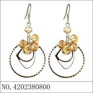 Earrings Brown