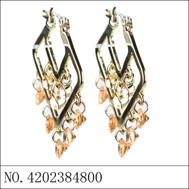 Earrings Brown