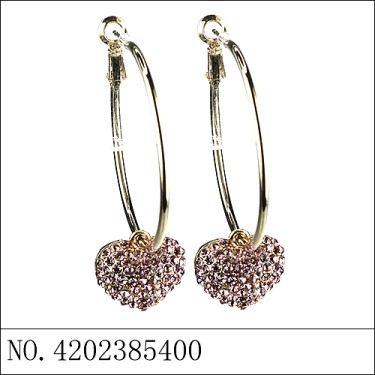 Earrings Purple