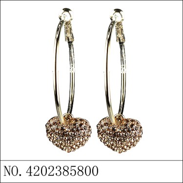 Earrings Brown