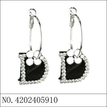 Earrings Black