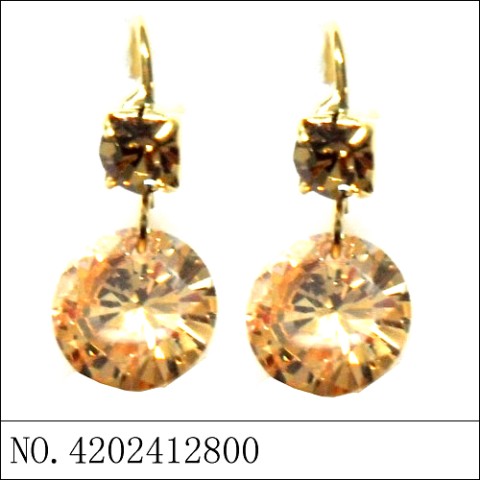 Earrings Brown