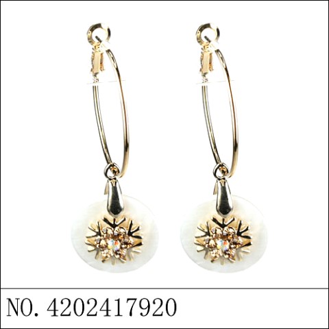 Earrings Gold