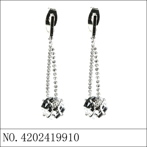 Earrings Black