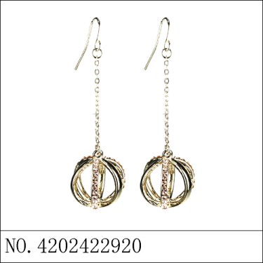 Earrings Gold