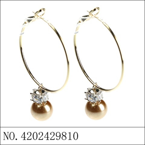 Earrings Brown