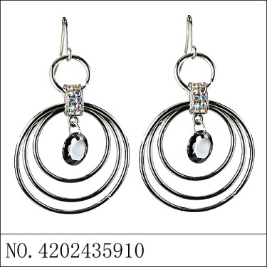 Earrings Black