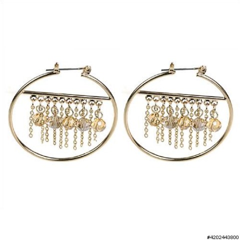 Earrings Brown