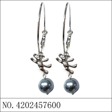 Earrings Gray