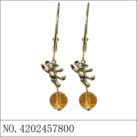 Earrings Brown