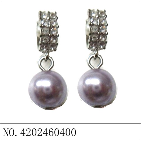 Earrings Purple