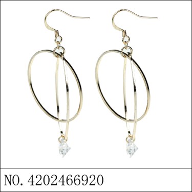 Earrings Gold