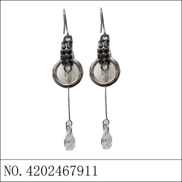 Earrings Black