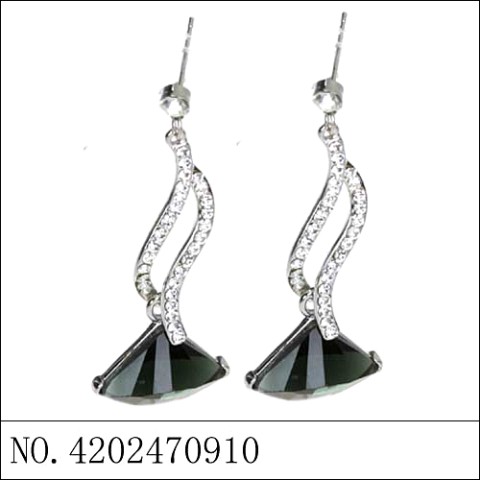 Earrings Black