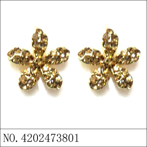 Earrings Brown