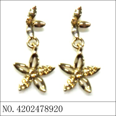 Earrings Gold