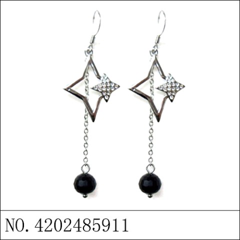 Earrings Black