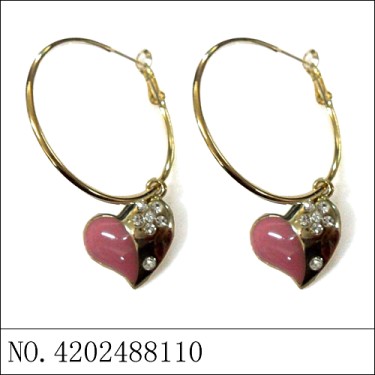 Earrings Red