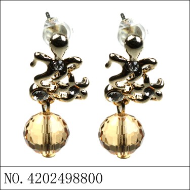 Earrings Brown