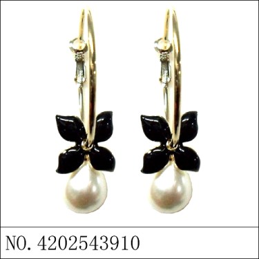 Earrings Black